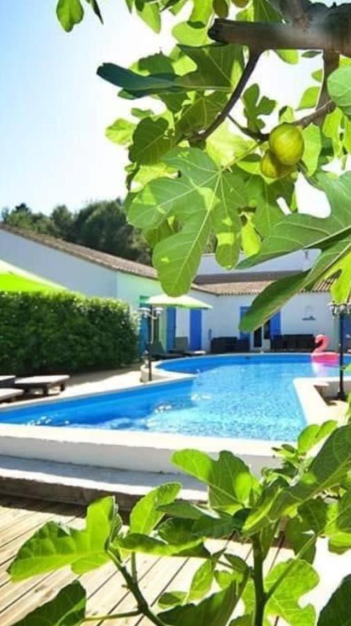 La Villa Du Menhir Chambre D'Hotes Bize-Minervois Eksteriør billede